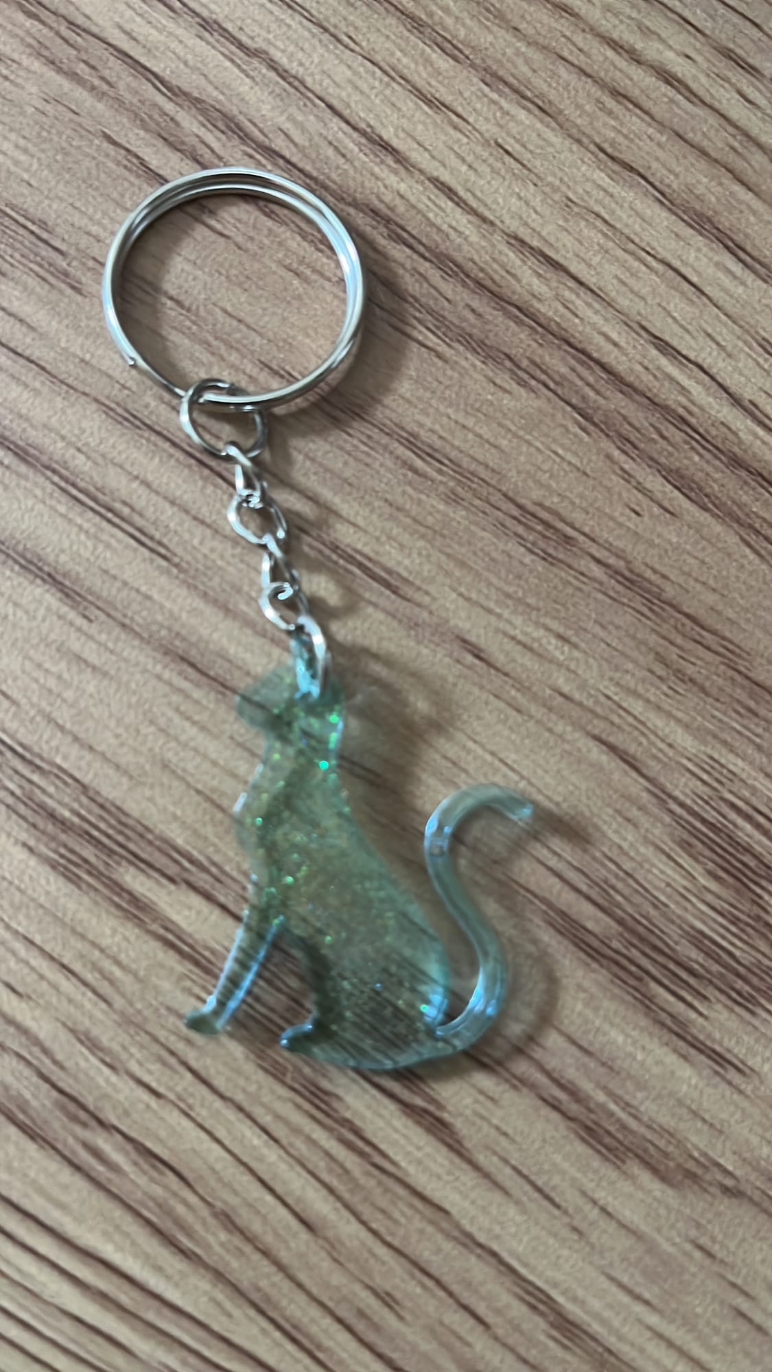 Keychains: cat, moon, paws and many more